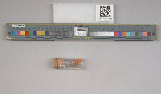 NSF ADBC EPICC TCN
