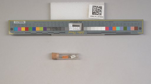 NSF ADBC EPICC TCN