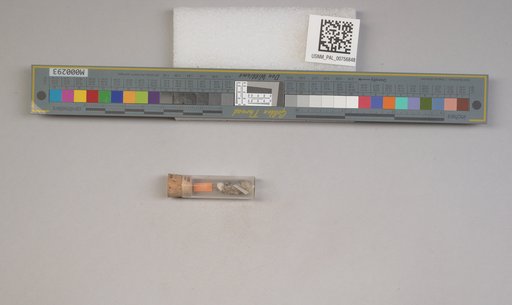 NSF ADBC EPICC TCN