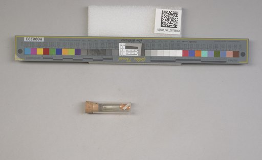 NSF ADBC EPICC TCN