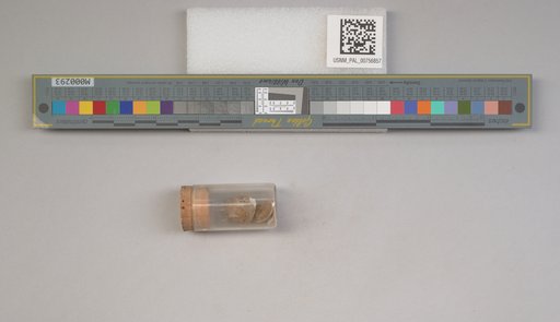 NSF ADBC EPICC TCN