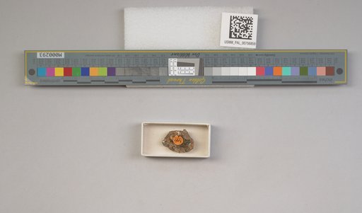 NSF ADBC EPICC TCN