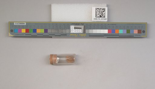 NSF ADBC EPICC TCN