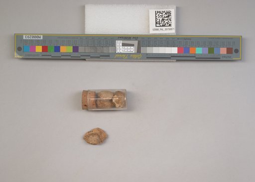 NSF ADBC EPICC TCN