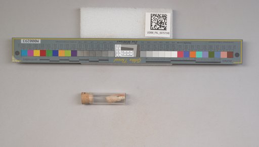 NSF ADBC EPICC TCN