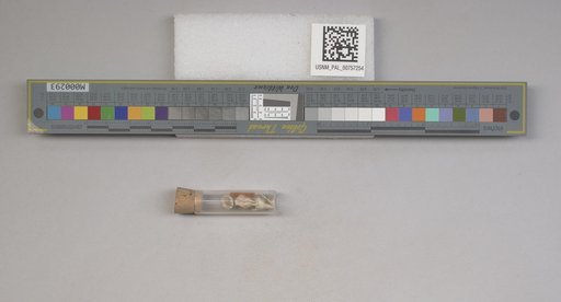 NSF ADBC EPICC TCN
