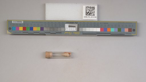 NSF ADBC EPICC TCN