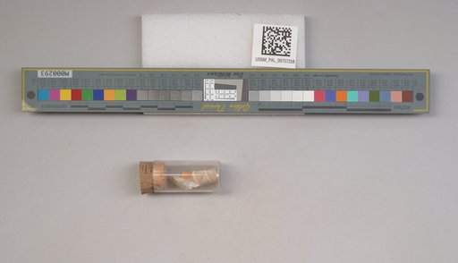NSF ADBC EPICC TCN