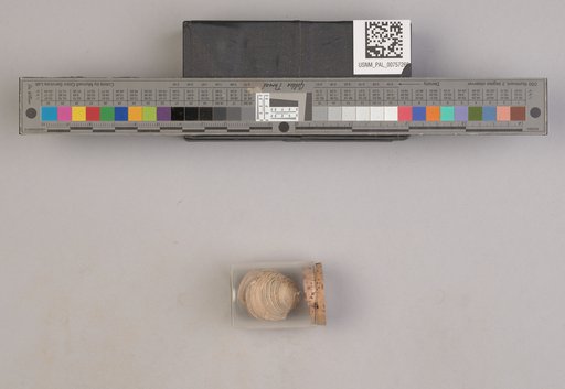 NSF ADBC EPICC TCN