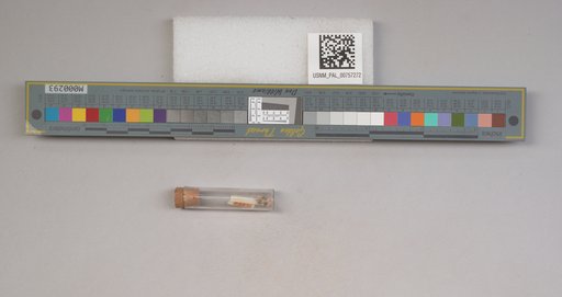 NSF ADBC EPICC TCN