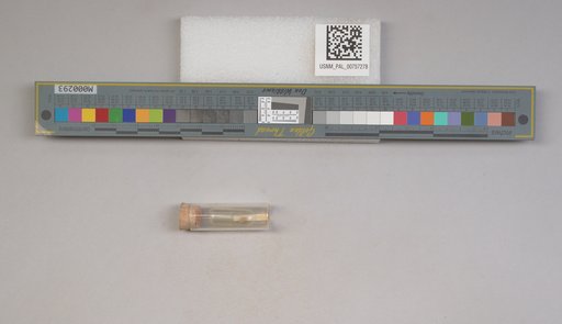 NSF ADBC EPICC TCN