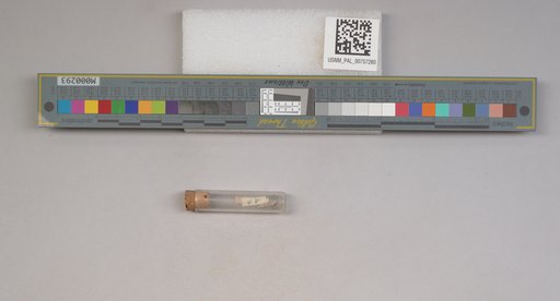 NSF ADBC EPICC TCN