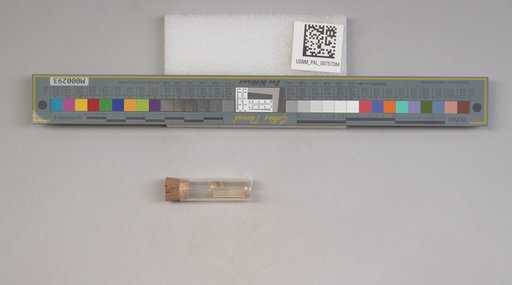 NSF ADBC EPICC TCN