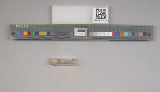 NSF ADBC EPICC TCN