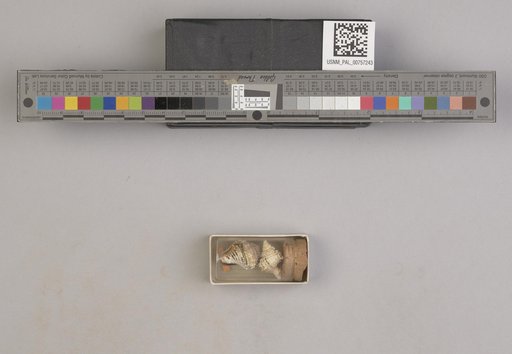NSF ADBC EPICC TCN