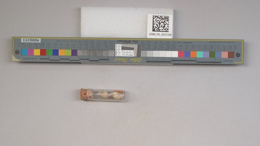 NSF ADBC EPICC TCN