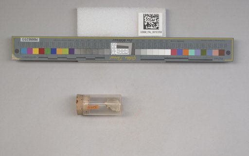 NSF ADBC EPICC TCN