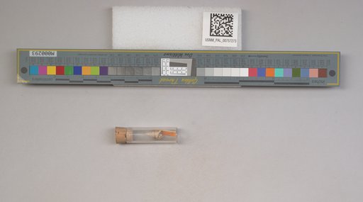 NSF ADBC EPICC TCN