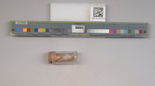 NSF ADBC EPICC TCN