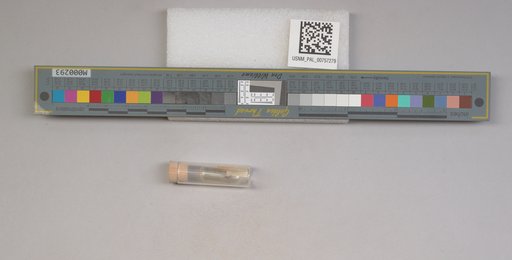 NSF ADBC EPICC TCN
