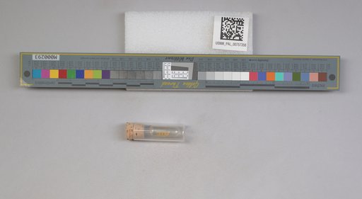 NSF ADBC EPICC TCN