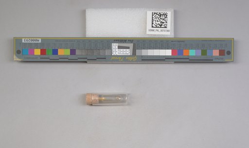NSF ADBC EPICC TCN