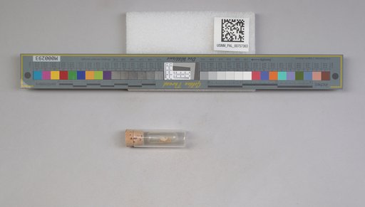 NSF ADBC EPICC TCN