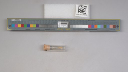 NSF ADBC EPICC TCN