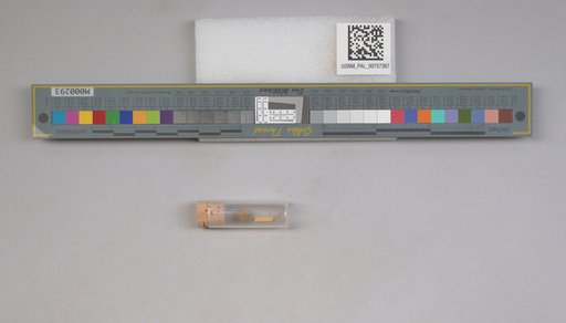 NSF ADBC EPICC TCN