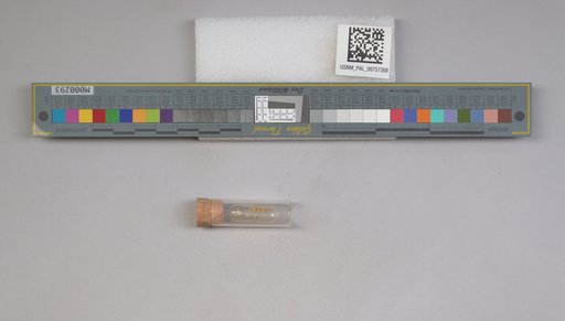 NSF ADBC EPICC TCN