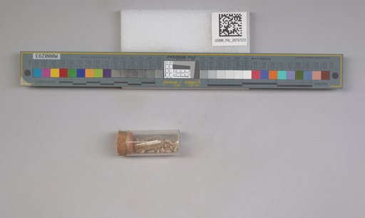 NSF ADBC EPICC TCN