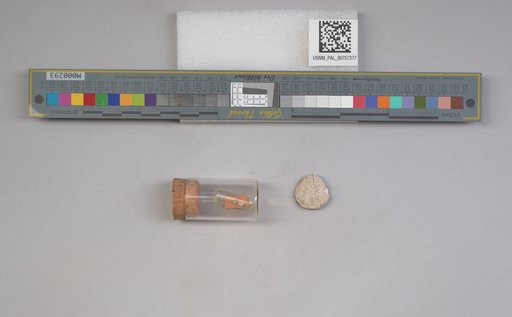 NSF ADBC EPICC TCN