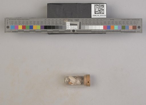 NSF ADBC EPICC TCN