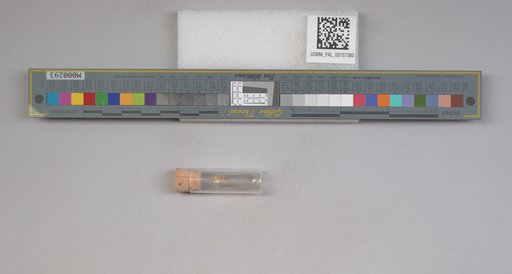 NSF ADBC EPICC TCN