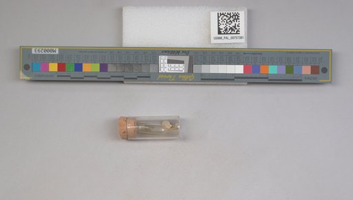NSF ADBC EPICC TCN
