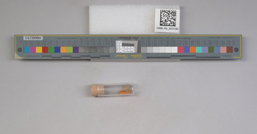 NSF ADBC EPICC TCN