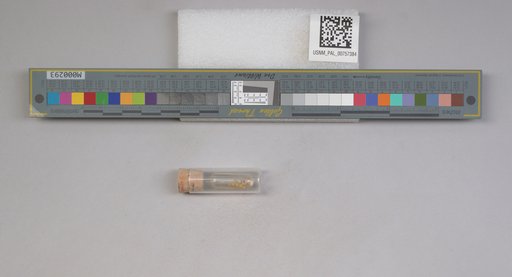 NSF ADBC EPICC TCN