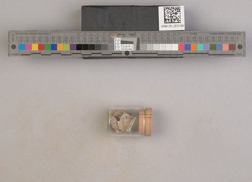 NSF ADBC EPICC TCN