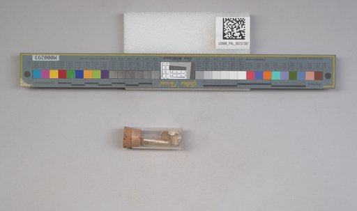 NSF ADBC EPICC TCN