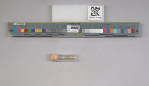 NSF ADBC EPICC TCN