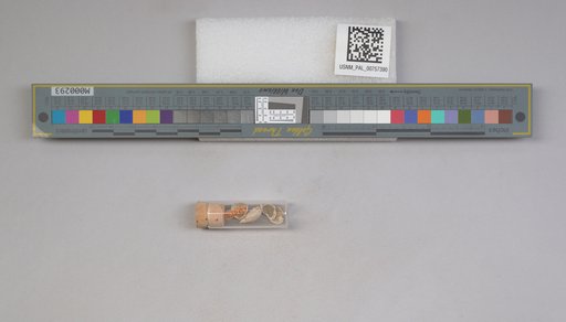 NSF ADBC EPICC TCN