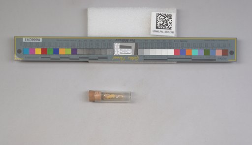 NSF ADBC EPICC TCN