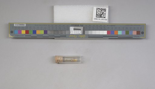 NSF ADBC EPICC TCN