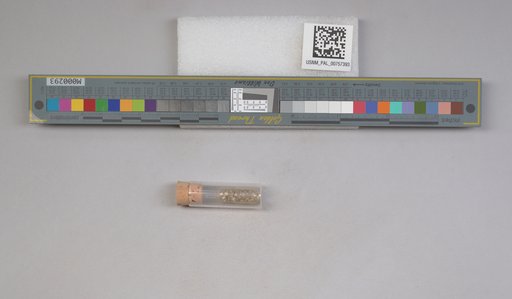 NSF ADBC EPICC TCN