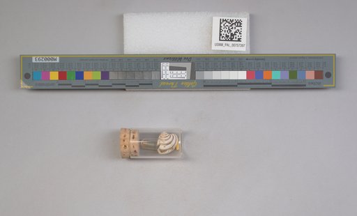 NSF ADBC EPICC TCN