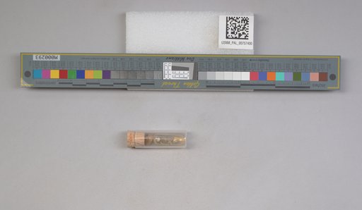 NSF ADBC EPICC TCN
