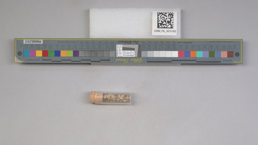 NSF ADBC EPICC TCN