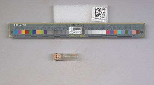 NSF ADBC EPICC TCN