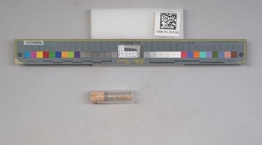 NSF ADBC EPICC TCN