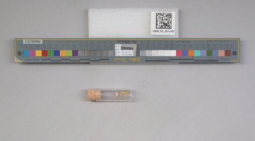 NSF ADBC EPICC TCN